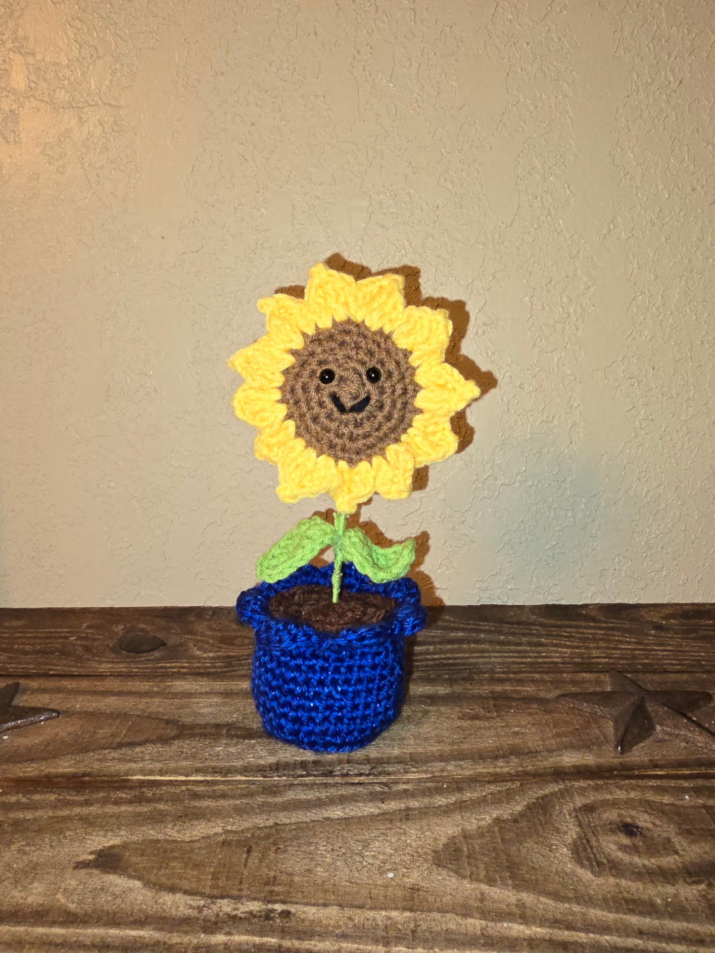 Sunflower Plant